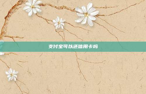 支付宝可以还信用卡吗