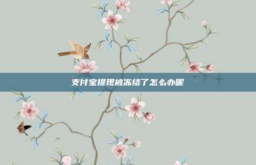 支付宝提现被冻结了怎么办呢