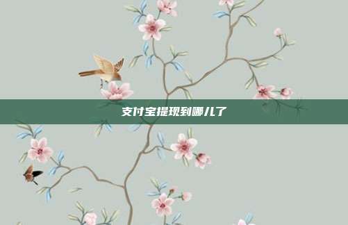 支付宝提现到哪儿了