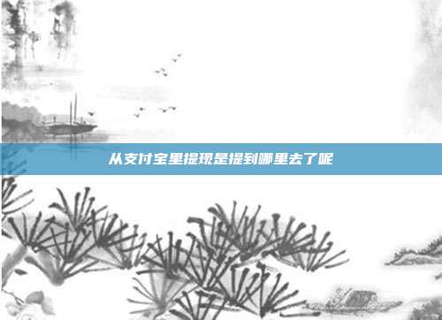 从支付宝里提现是提到哪里去了呢