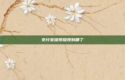 支付宝提现提现到哪了