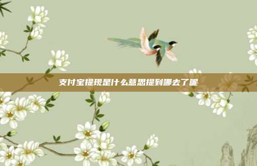 支付宝提现是什么意思提到哪去了呢