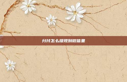 分付怎么提现到微信里