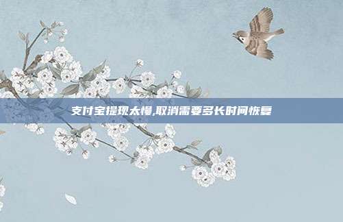 支付宝提现太慢,取消需要多长时间恢复