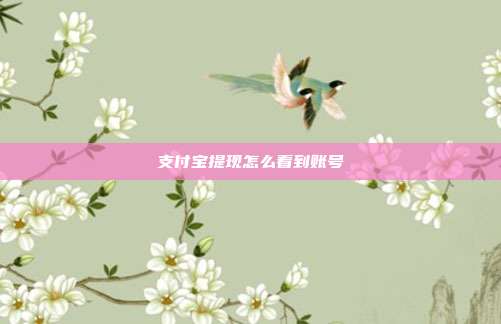 支付宝提现怎么看到账号