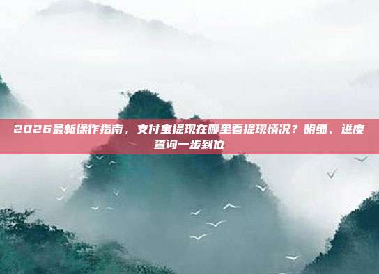 2026最新操作指南，支付宝提现在哪里看提现情况？明细、进度查询一步到位