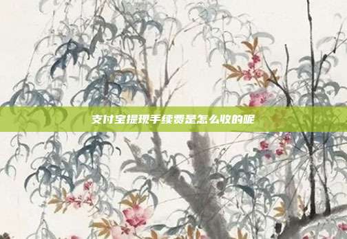 支付宝提现手续费是怎么收的呢