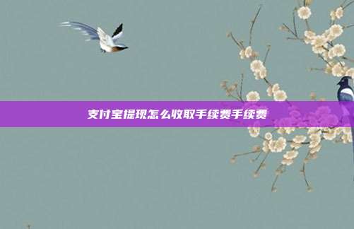 支付宝提现怎么收取手续费手续费