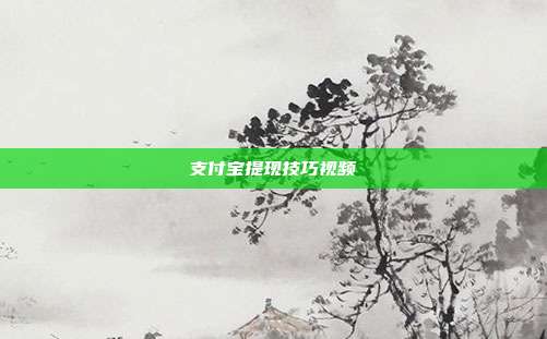 支付宝提现技巧视频