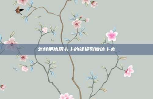 怎样把信用卡上的钱提到微信上去