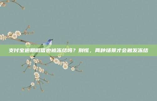 支付宝逾期微信也被冻结吗？别慌，两种场景才会触发冻结