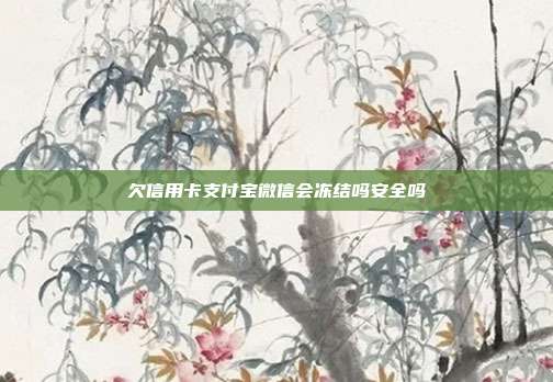 欠信用卡支付宝微信会冻结吗安全吗