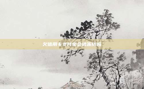 欠信用卡支付宝会被冻结吗
