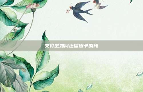 支付宝如何还信用卡的钱
