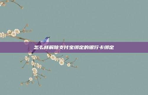 怎么样解除支付宝绑定的银行卡绑定