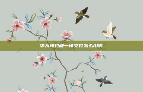华为钱包碰一碰支付怎么用啊