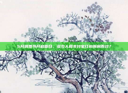 5月消费节开启首日,多少人和支付宝红包擦肩而过?