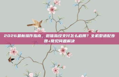 2026最新操作指南,微信指纹支付怎么启用?全机型适配步骤+常见问题解决