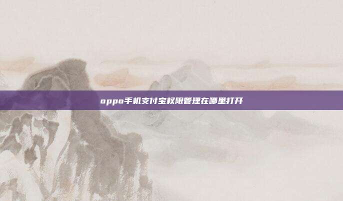 oppo手机支付宝权限管理在哪里打开