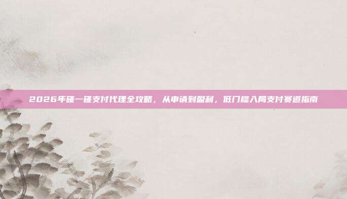 2026年碰一碰支付代理全攻略,从申请到盈利,低门槛入局支付赛道指南