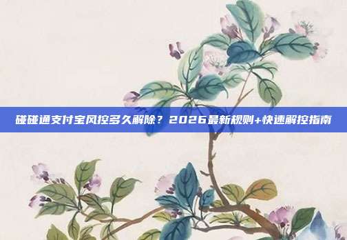 碰碰通支付宝风控多久解除？2026最新规则+快速解控指南