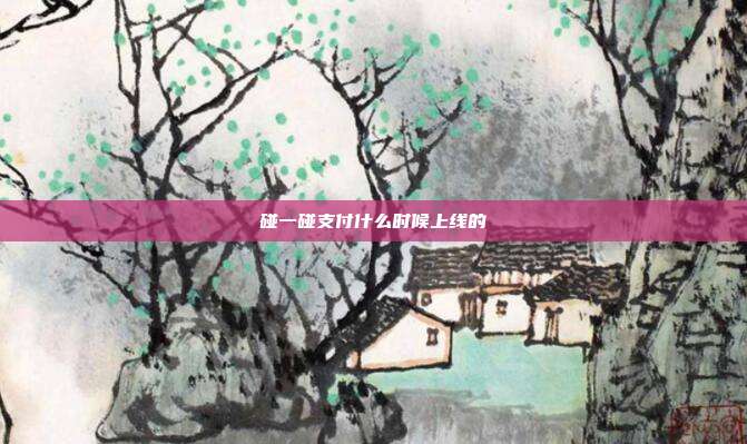 碰一碰支付什么时候上线的
