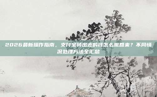 2026最新操作指南,支付宝转出去的钱怎么撤回来?不同情况处理方法全汇总