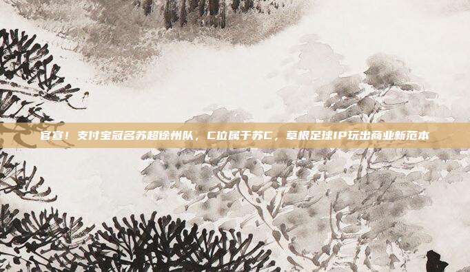 官宣!支付宝冠名苏超徐州队,C位属于苏C,草根足球IP玩出商业新范本