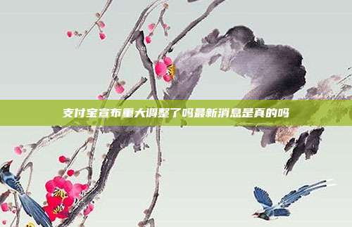 支付宝宣布重大调整了吗最新消息是真的吗