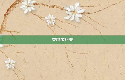 支付宝巨变