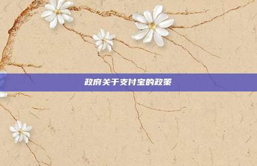 政府关于支付宝的政策