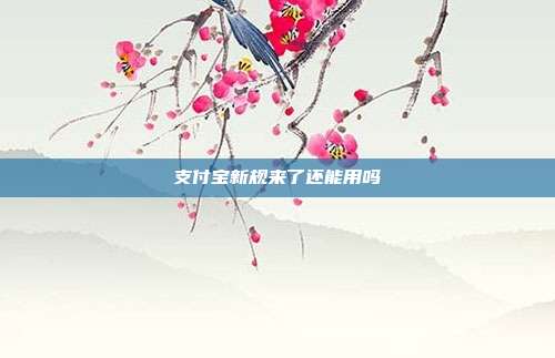 支付宝新规来了还能用吗