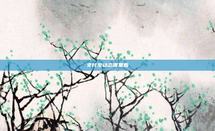支付宝动态哪里看
