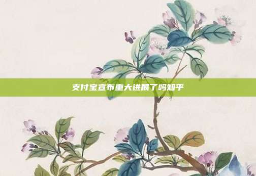 支付宝宣布重大进展了吗知乎