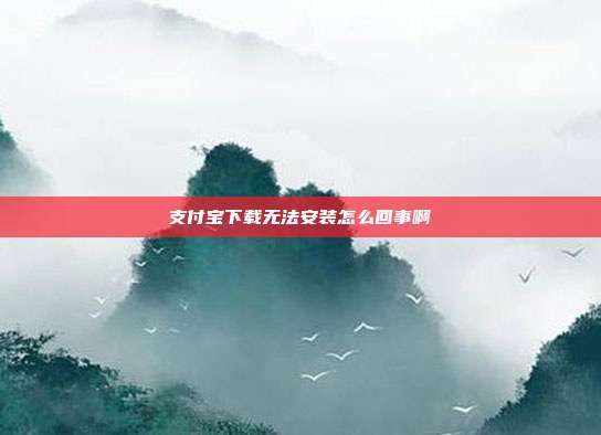 支付宝下载无法安装怎么回事啊