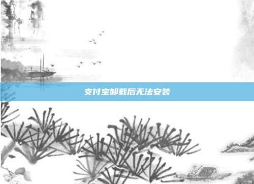 支付宝卸载后无法安装