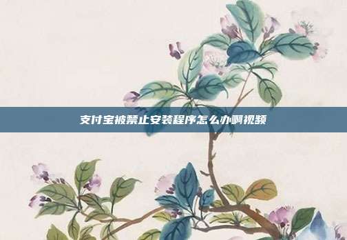 支付宝被禁止安装程序怎么办啊视频