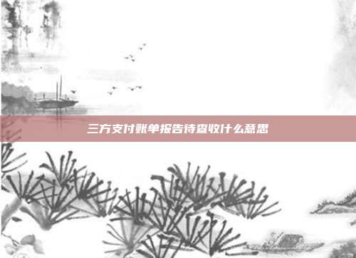 三方支付账单报告待查收什么意思