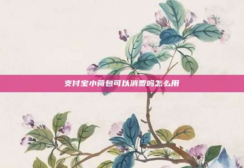 支付宝小荷包可以消费吗怎么用