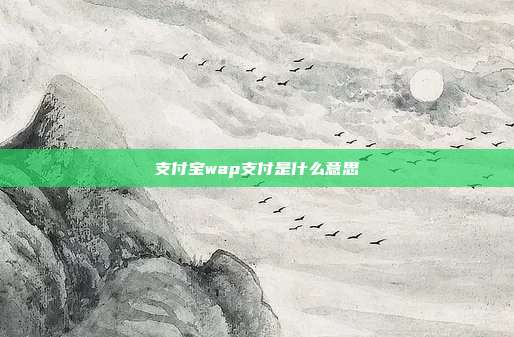 支付宝wap支付是什么意思