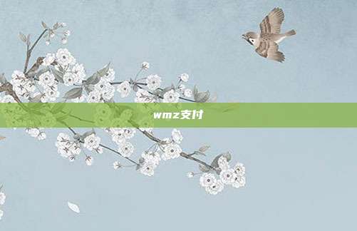 wmz支付