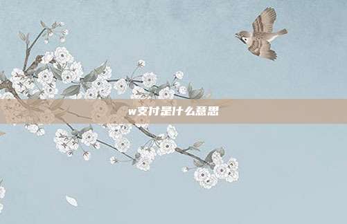 w支付是什么意思