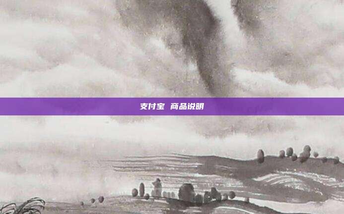 支付宝 商品说明