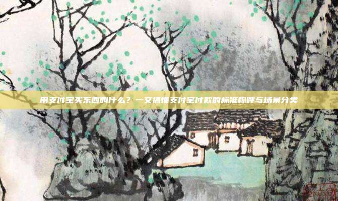 用支付宝买东西叫什么？一文搞懂支付宝付款的标准称呼与场景分类