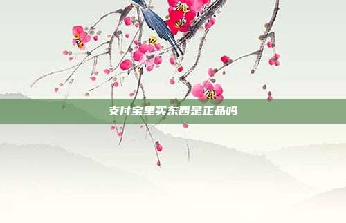 支付宝里买东西是正品吗