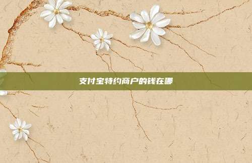 支付宝特约商户的钱在哪