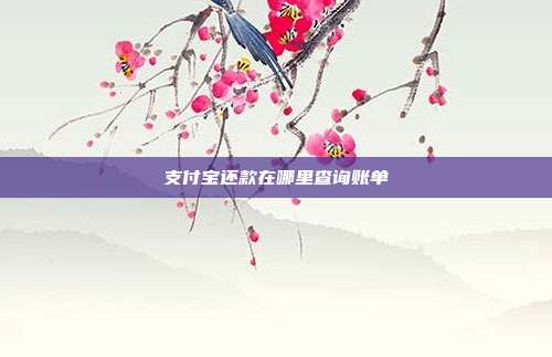 支付宝还款在哪里查询账单