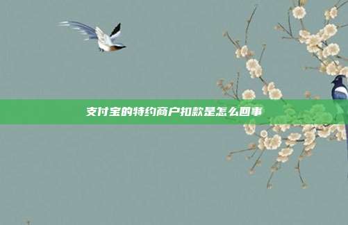 支付宝的特约商户扣款是怎么回事
